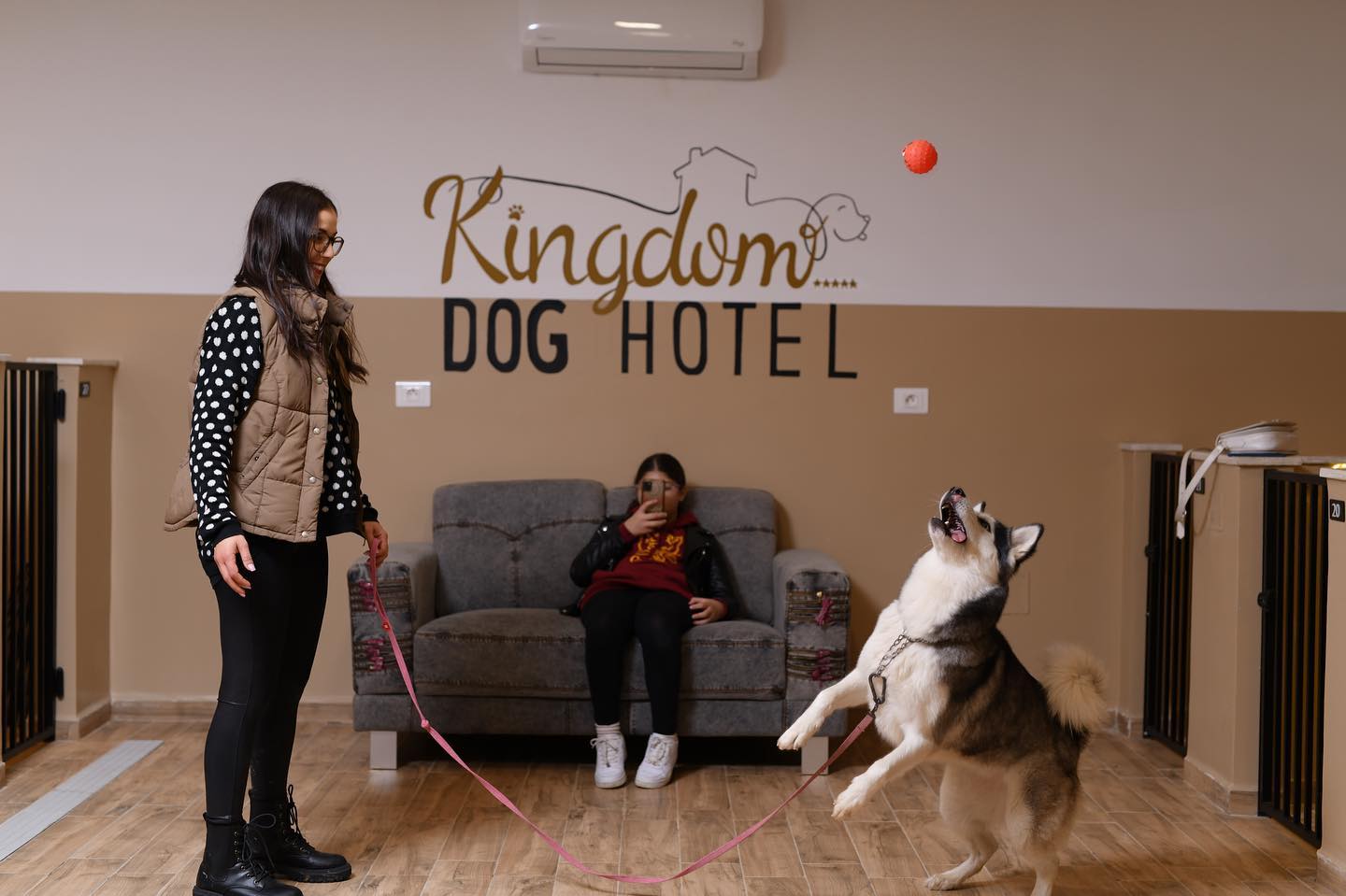 Kingdom Dog Hotel Pension pour Chien Animalerie Soukra
